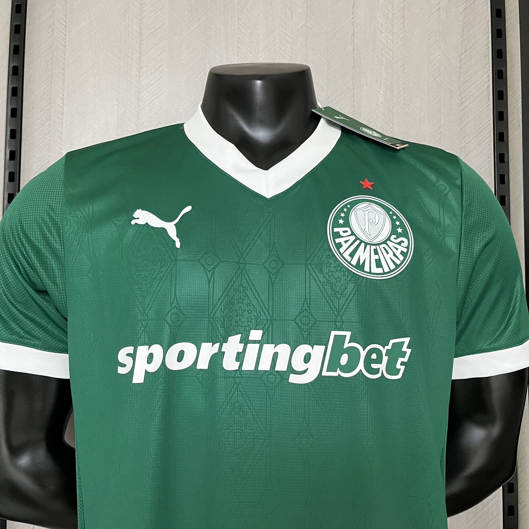 Camisa Palmeiras Jogador Home 2025 - Verde