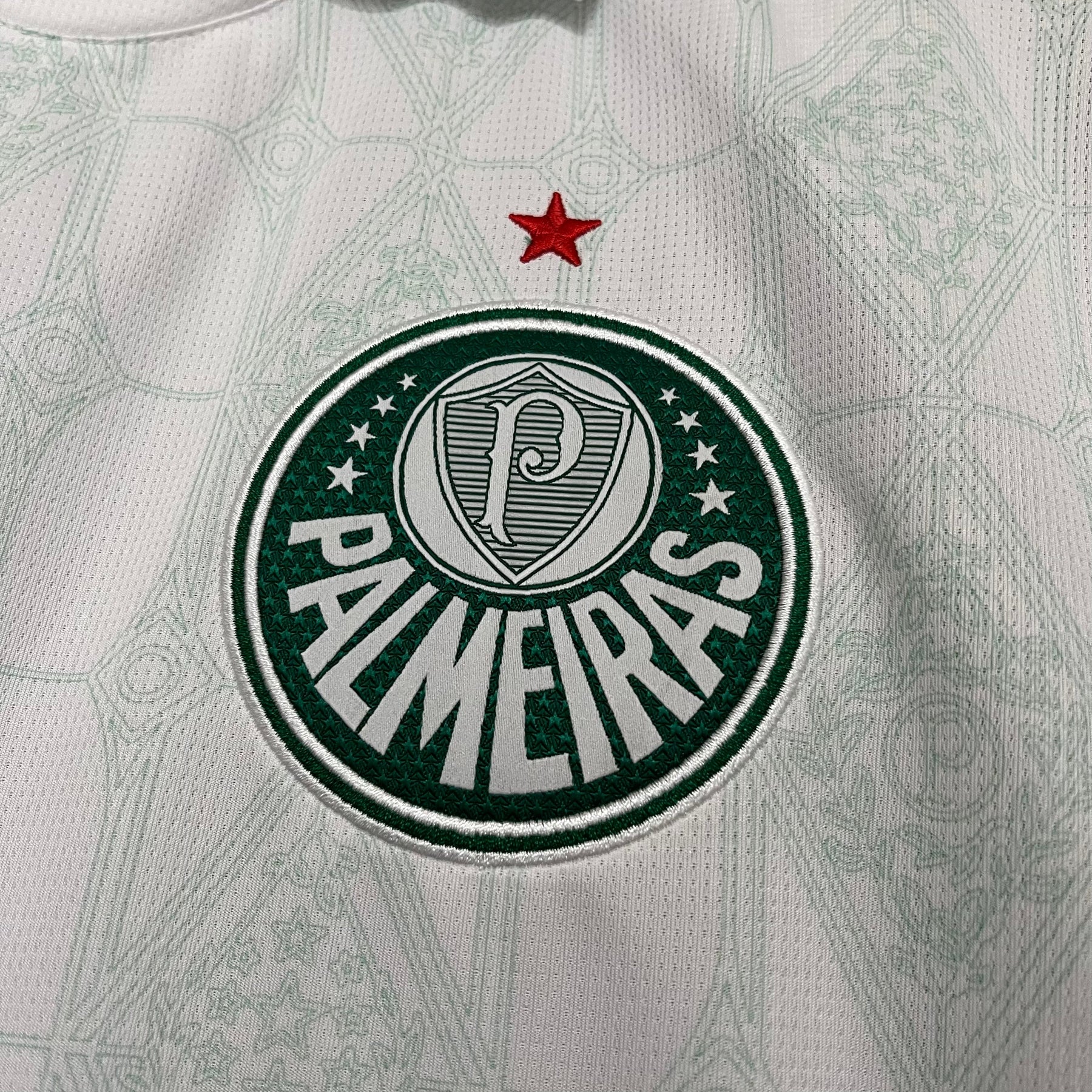 Camisa Puma Palmeiras II 2025