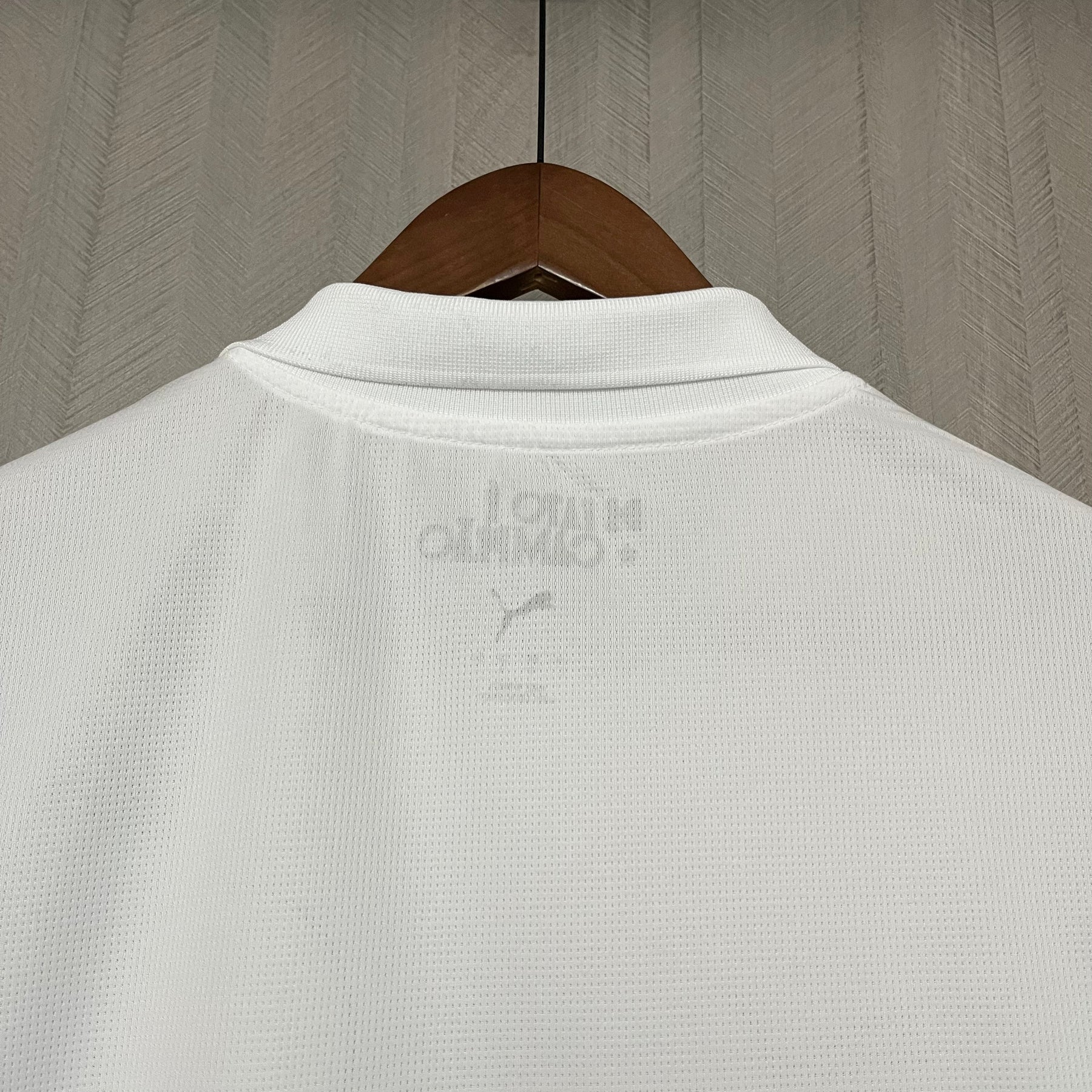 Camisa Puma Palmeiras II 2025