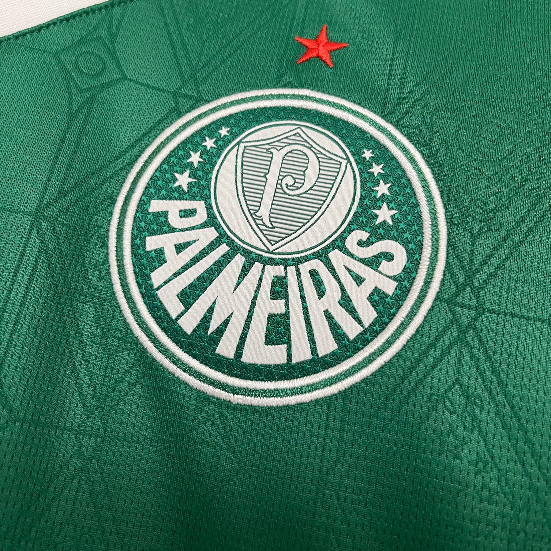 Camisa Puma Palmeiras I 2025