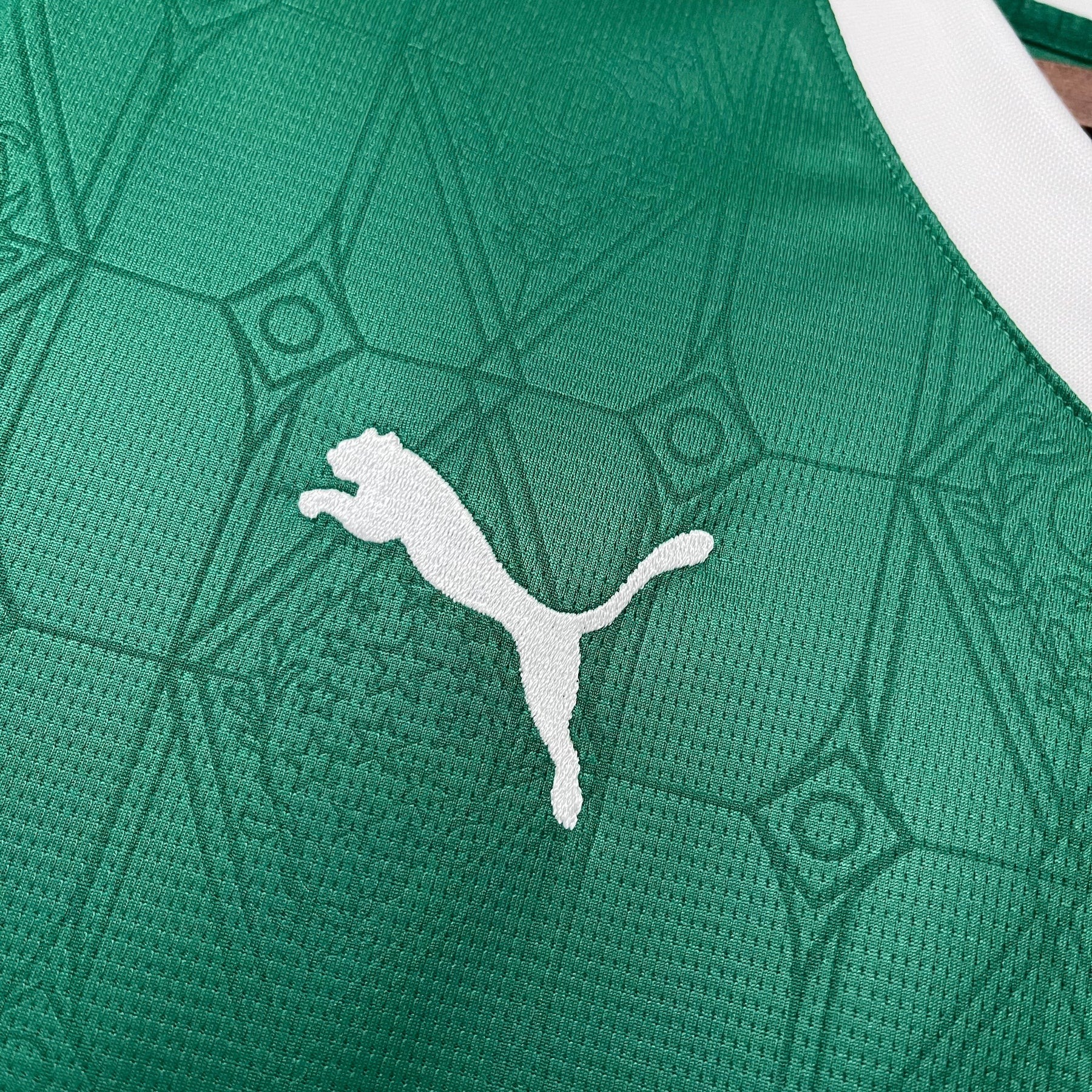 Camisa Puma Palmeiras I 2025