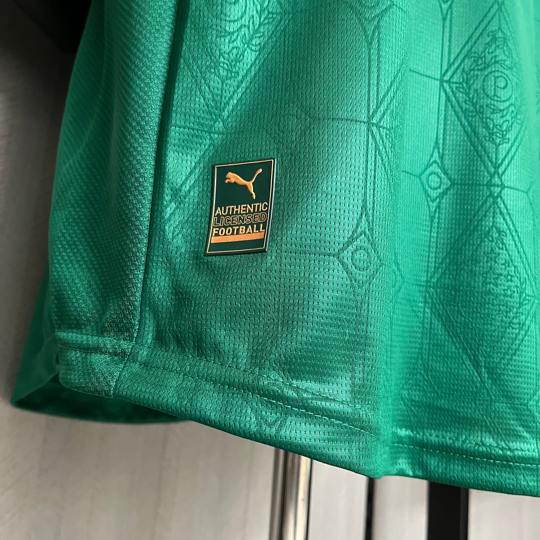 Camisa Palmeiras Jogador Home 2025 - Verde