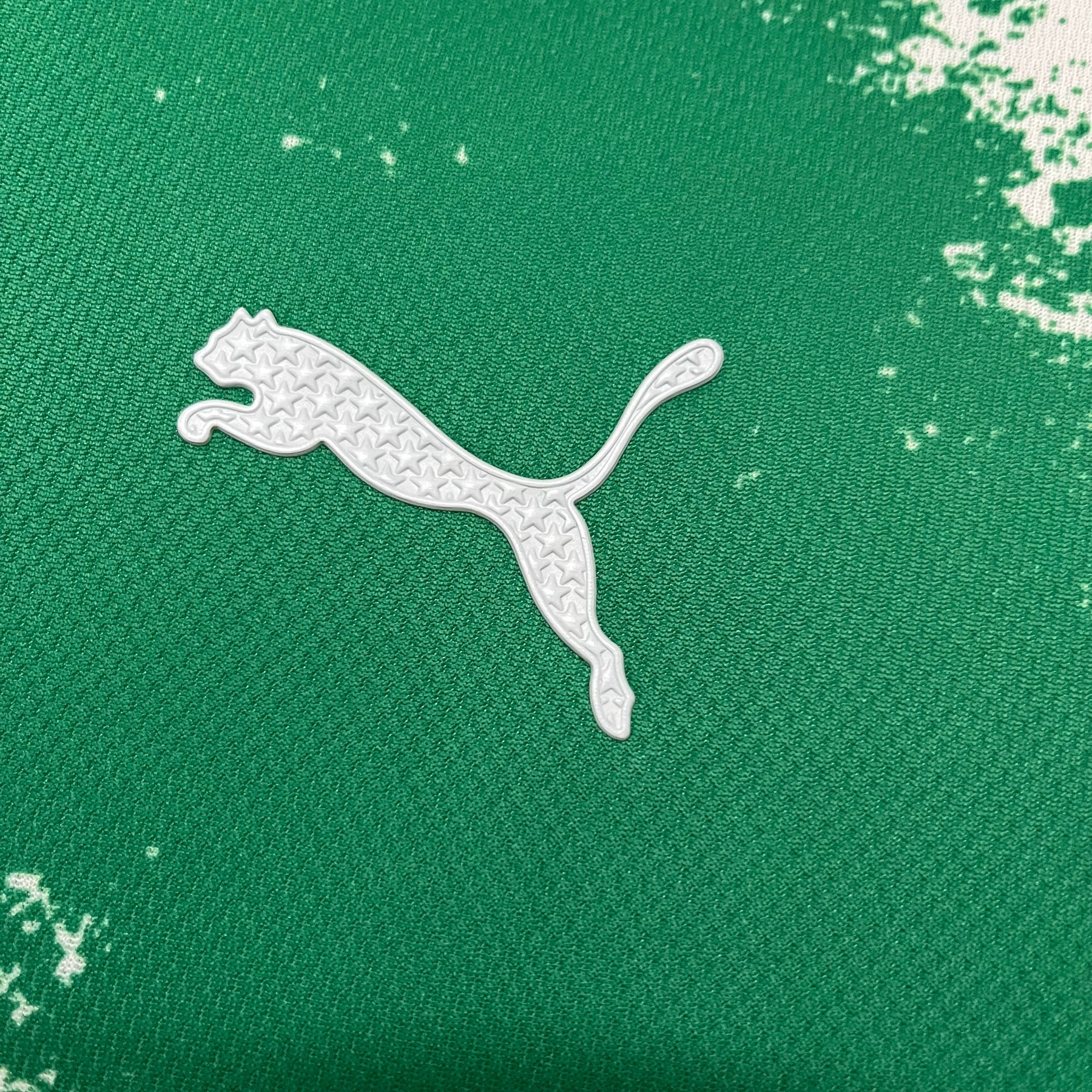 Camisa Palmeiras 24/25 - Verde e Branca