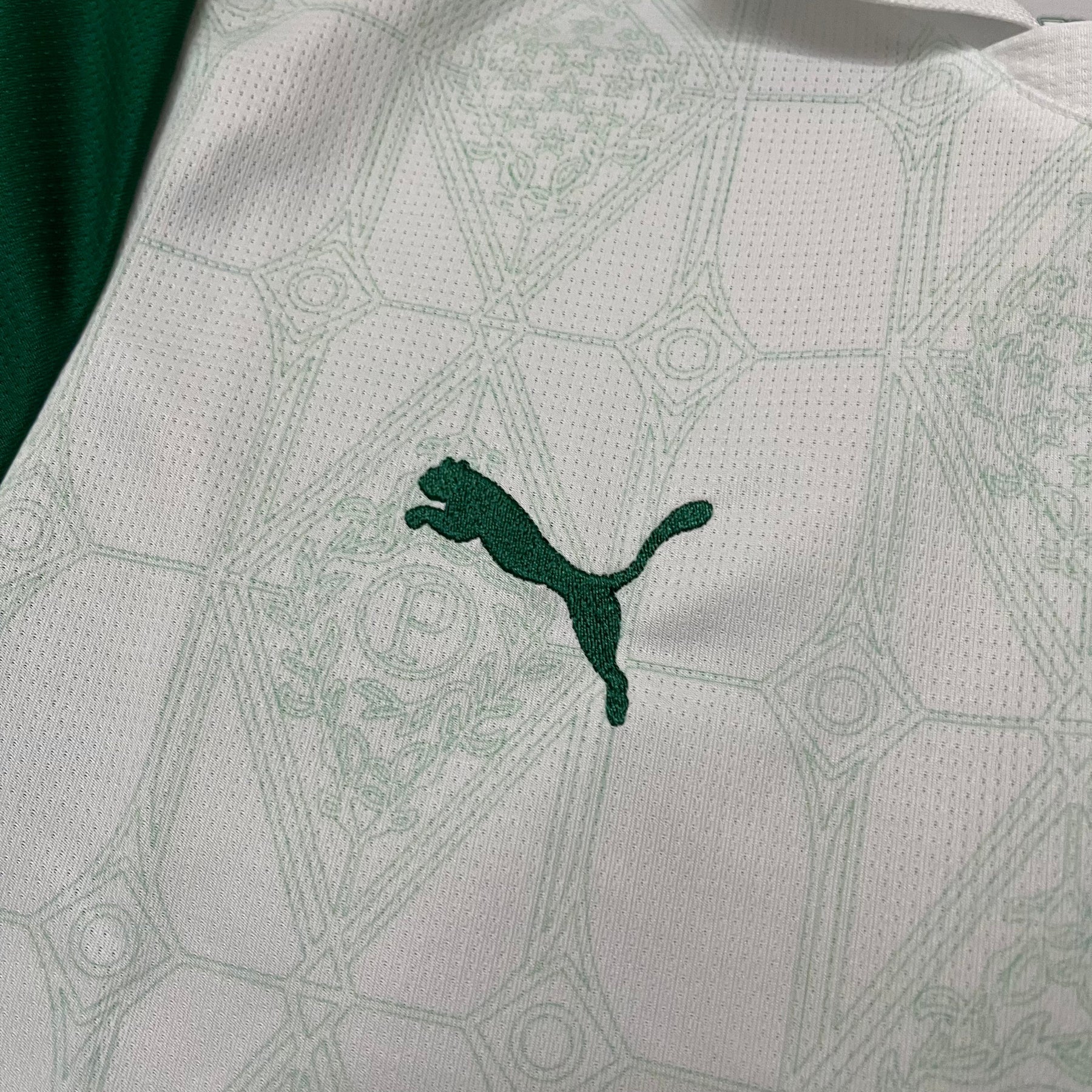 [PRÉ-VENDA] Camisa Puma Palmeiras II 2025 - Feminina