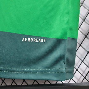 Camisa do Palmeiras Retro 2010