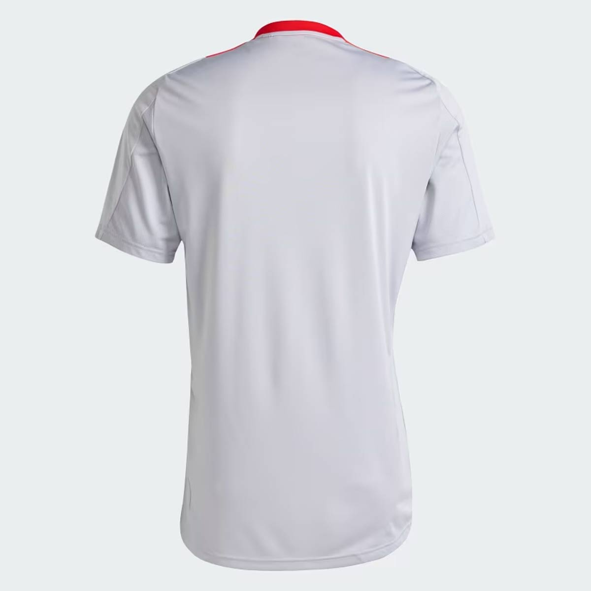 Camisa Adidas Internacional Treino 2025 Jogador Cinza