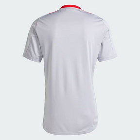 Camisa Adidas Internacional Treino 2025 Jogador Cinza