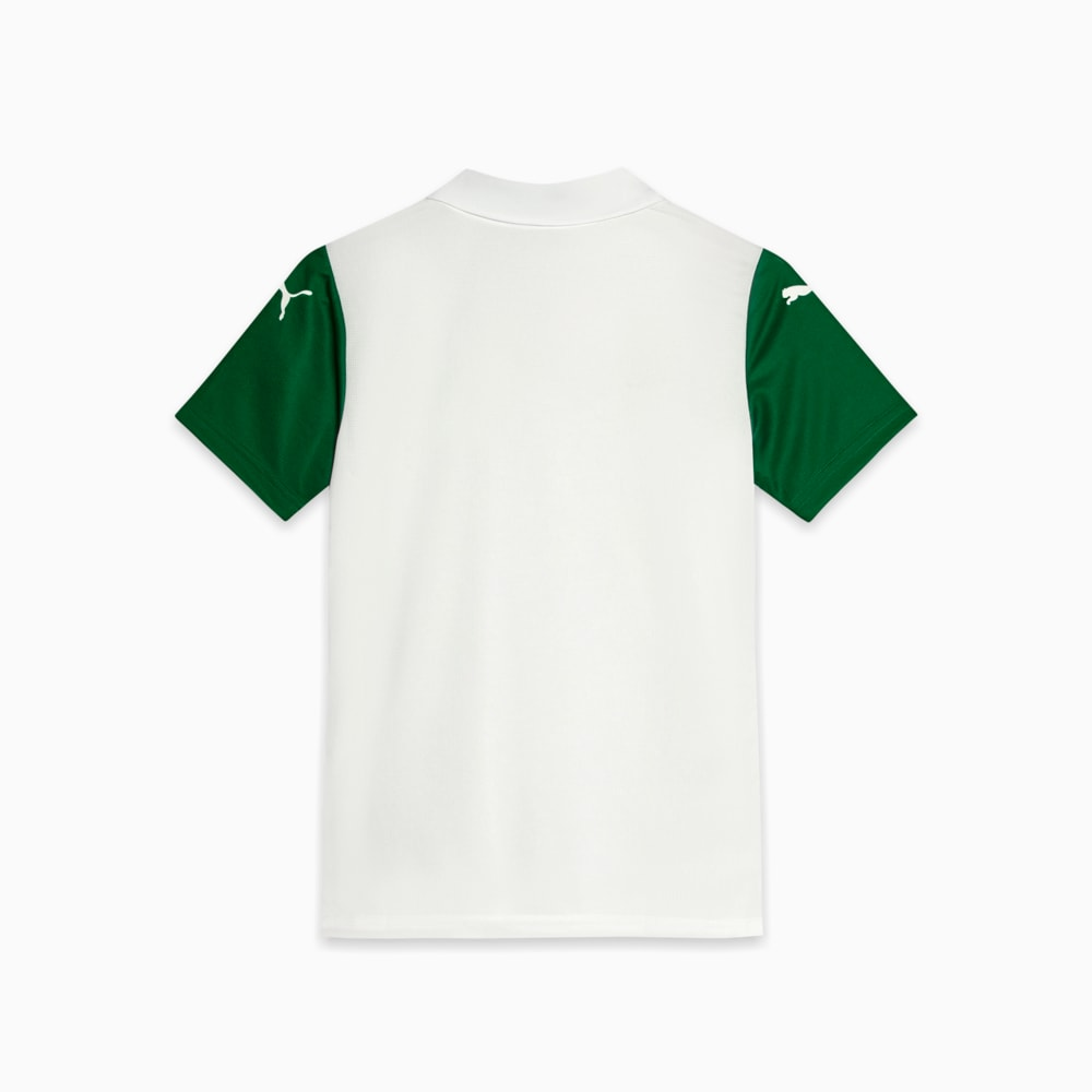 Kit Infantil Palmeiras Il 25/26